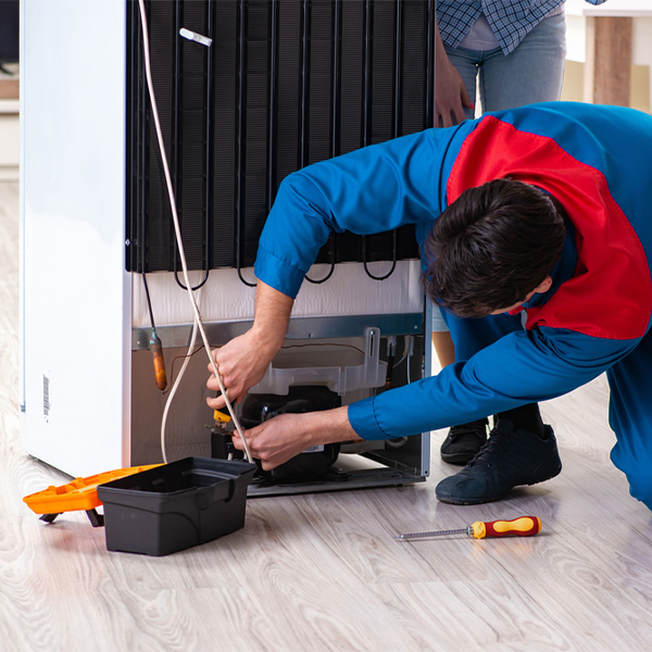 is it cost-effective to repair a refrigerator or replace it entirely in Sand Creek MN